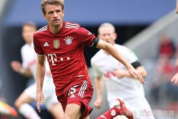 开云官网-关于德国杯倒计时，夏洛特黄蜂今晚豪取连胜，细节引发关注，目标明确，球队文化再被提及的信息